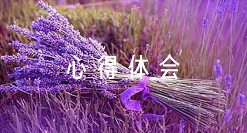 如何设计个性化的篮球训练方案_1